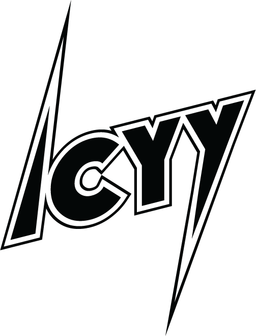 Icyy store 
