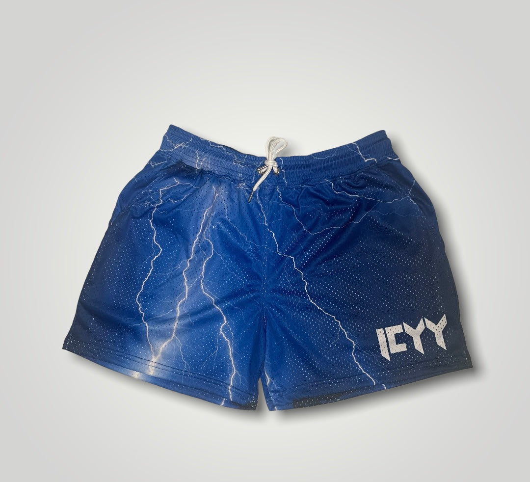Icyy Mesh Shorts